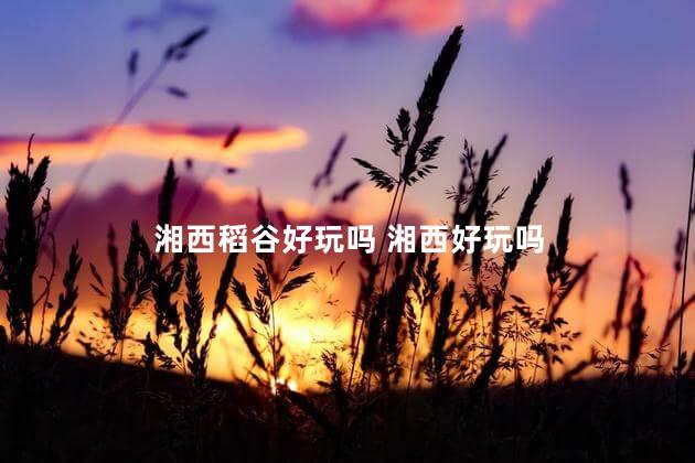 湘西稻谷好玩吗 湘西好玩吗